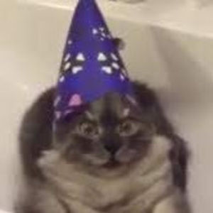 Meet your Posher, Carson